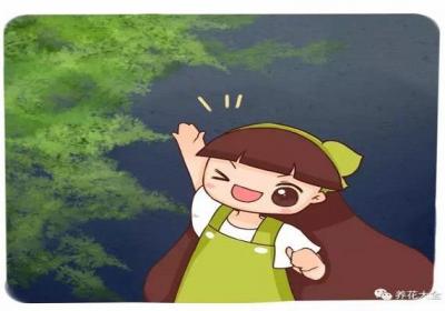 他养的文竹成精了,叶子从来不发黄,爬满天花板都不是事！