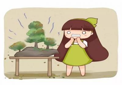 花10万块钱买的盆景,夏天没过完就死了,心痛！