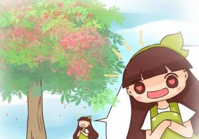 老天,这些树居然活了5000年！赶得上中国历史了！