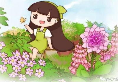 6种爬藤花,种上就能收获1面花墙！