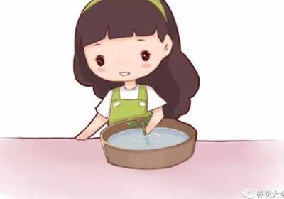 扦插用上这个,100%生根！太简单了！