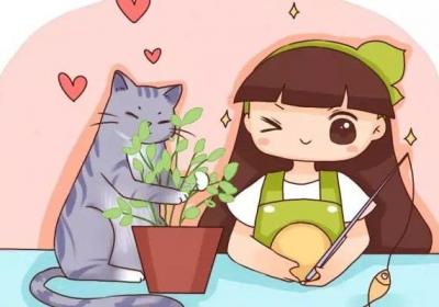家里有猫的,千万别养这种花！不然你就摊上大事了！