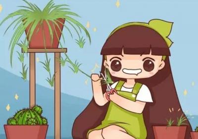 这4种花1盆变100盆,连扦插都不用！