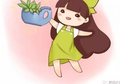 这年头,谁还花钱养花？1把剪刀就够了！