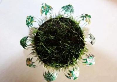 夏天喝完的易拉罐,剪刀一剪,拿来养花超级棒！