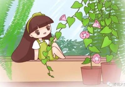 夏天种上这些花,空调都不用,太凉快了！