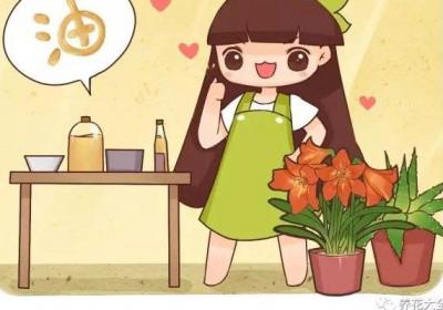 盆里埋滴油,5天窜芽,20天爆盆！