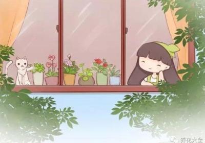 赚够100万,我就辞职回家,赏花喝茶过自己的小日子！