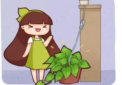 夏季天天浇水,累死,学他这样做,给花自动浇水！