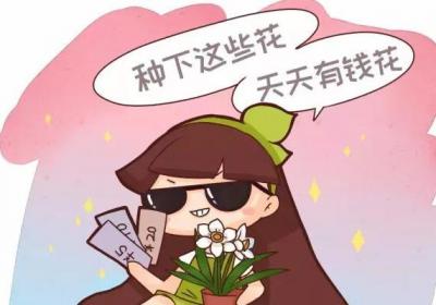 人民币上的花,养一盆,天天有钱花！