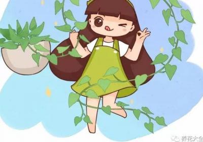 用了这3招,绿萝疯长100米,截断能插100盆！