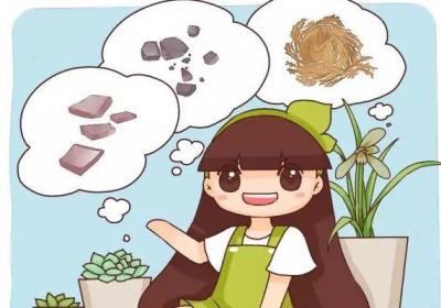 别人种花不用土,只用它,花长的根粗叶壮绿油油！