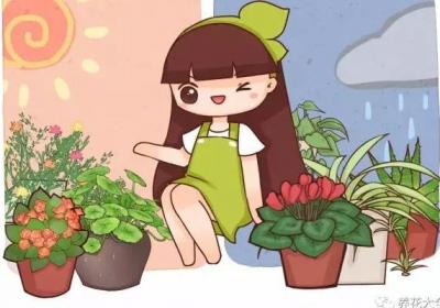 再便宜也别买,这4种花剪个枝,很快就长一大盆！