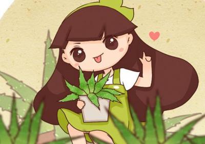 治病美容炒菜吃,这种花养一阳台都不嫌多