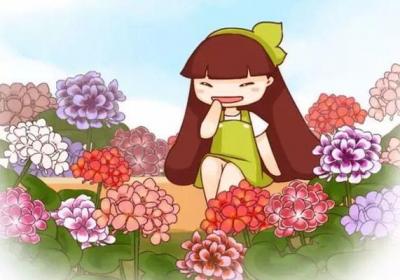 她家只种一种花,却美过别人一个花园