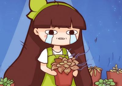 夏天,多肉都是这么死的!提前预防,1个不少