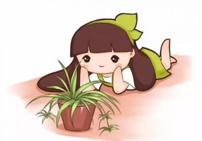 夏天扦插老不活,学会这几种方法,插啥活啥！