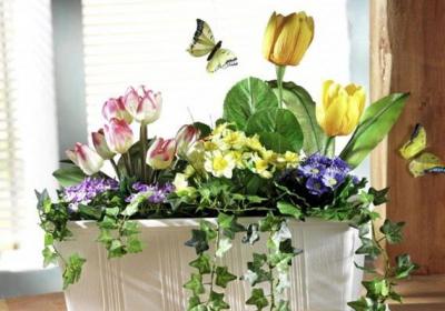 视频：养花不会浇水？花儿如何浇水一下就知道！