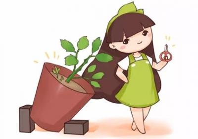 养花要学会这些小技巧,你也可以是养花达人