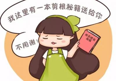 多肉和发财树烂根？别扔,剪就可以