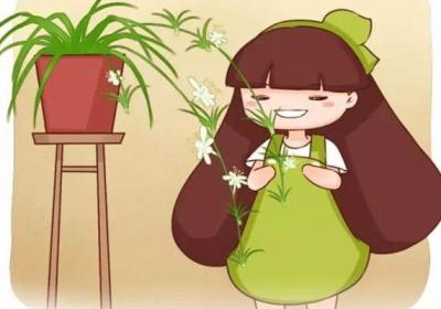 他养的吊兰文竹虎皮兰…年年开花,咋做到的