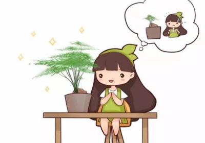吊兰文竹发财树...总是黄叶？学会这几招,养10年都不黄叶