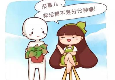 快死的绿萝别扔,1分钟让它起死回生