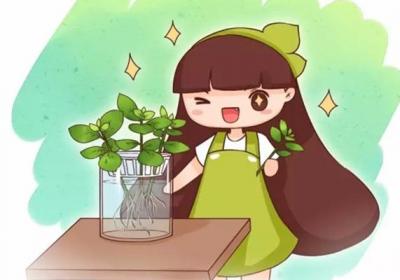 掐根枝扔水里,奇迹发生了