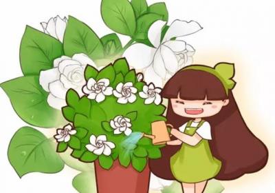 这20种常见花卉的浇水方法,一定要学