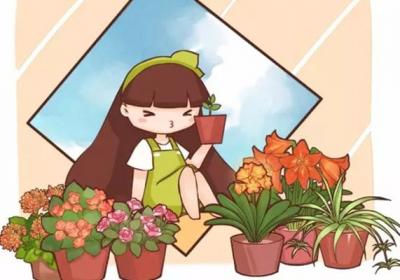 20种常见花卉的养殖技巧