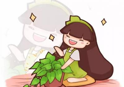 养绿萝的看过来,这样养,才能疯长不发黄