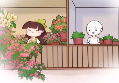 你的花总是不开花？那是因为你少做了这件事