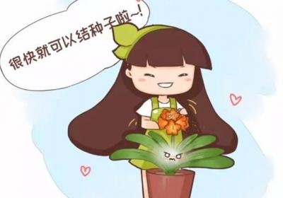 花草不用花钱买！只要给她做点羞羞的事