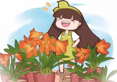 养花不用买,这么做让花1盆变10盆