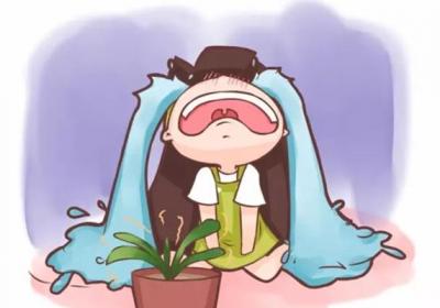 给君子兰喂点儿这个,不施肥也能年年开花