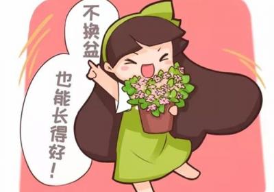 他养花十年没换过盆,年年花开满枝,只因为做了这个