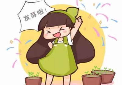 学会这种方法,啥花都能种活