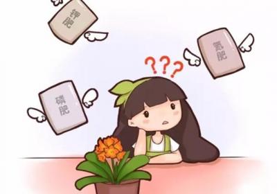 养花光知道浇水,那你的花离死不远了