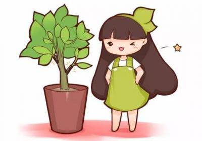 自制生根水太麻烦？这么做分分钟生根