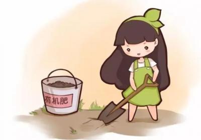 土里扔点儿这个,不施肥花也长得蹭蹭的