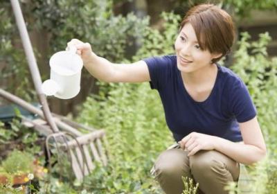 植物什么时候浇水最好