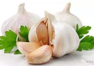 养花用大蒜？防腐防虫还促发芽,真绝了！