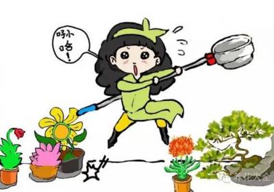 你花那么多钱养花,他一个塑料瓶就解决了