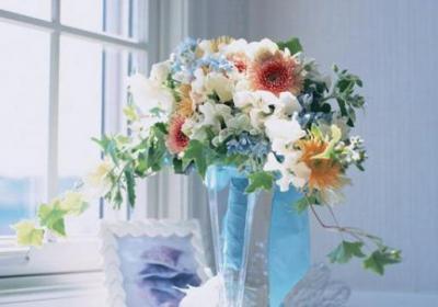 哪些花材适合进行插花