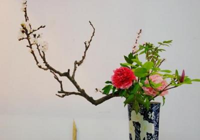 牡丹插花