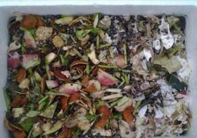 怎么自制栀子花肥料