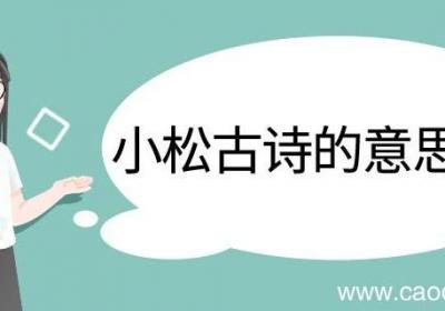 小松古诗的意思翻译 小松古诗的翻译