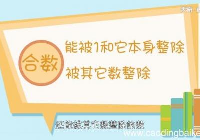 合数的定义 合数的含义