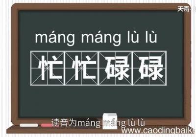 忙忙碌碌的意思 忙忙碌碌的出处