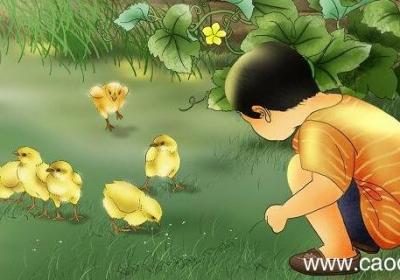 祖父的园子运用了什么写作手法 祖父的园子运用了的写作手法